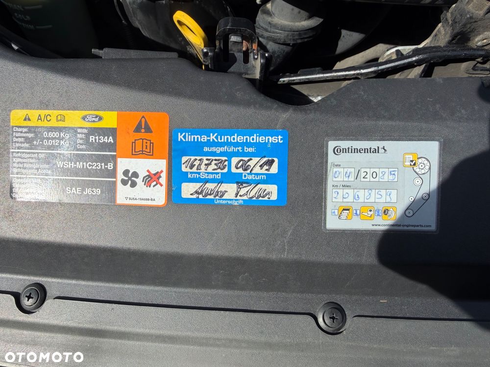 Ford Focus - 5