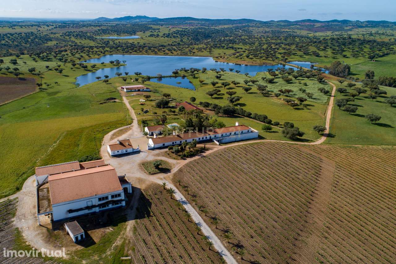 Herdade de 190 Hectares (16 Hectares de Vinha) a 10 km do lago de Alqu - Grande imagem: 3/40