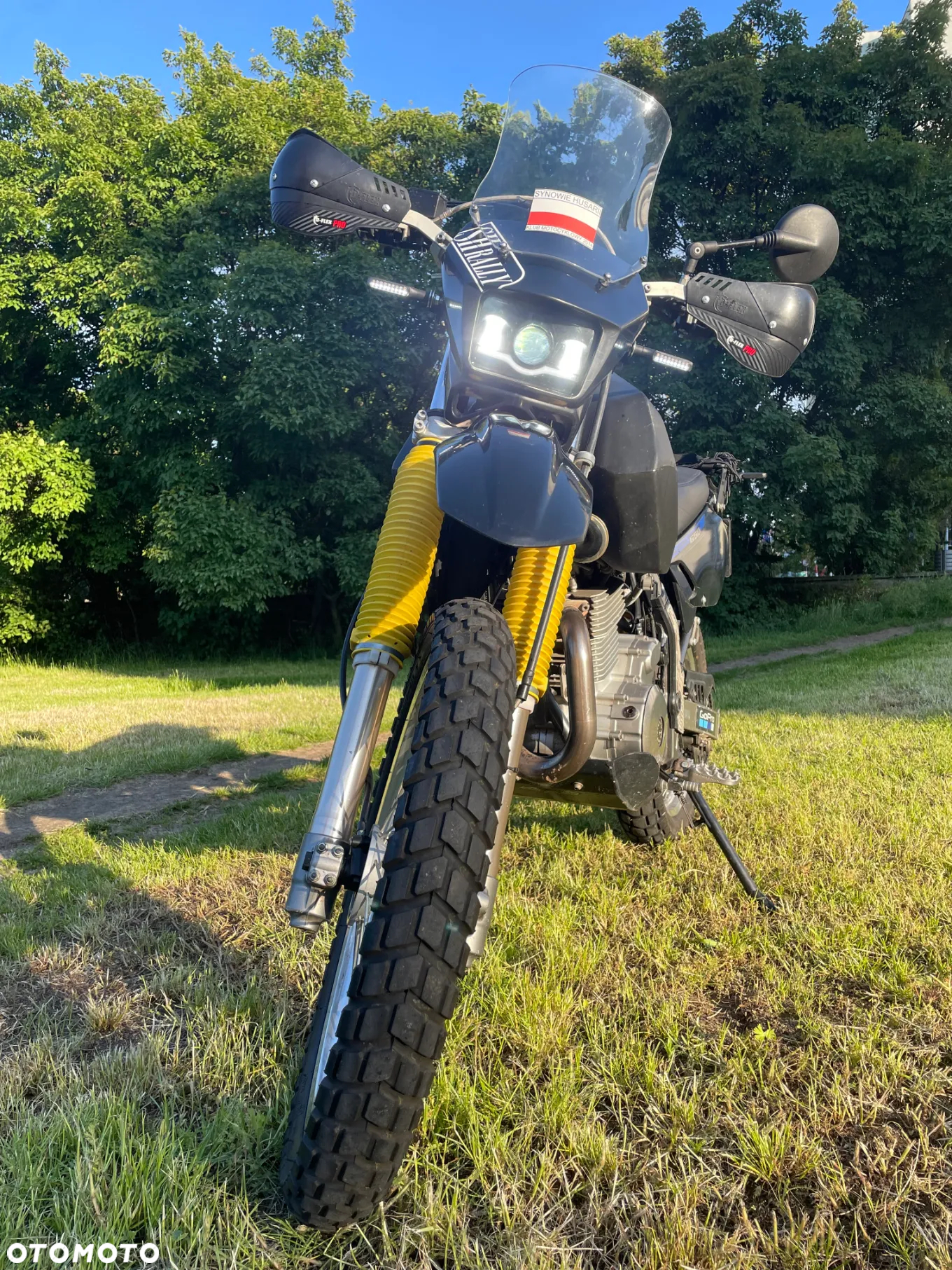 Suzuki DR