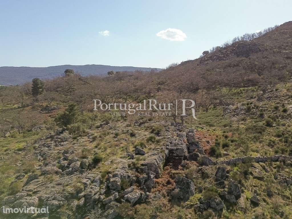 Quintinha com 3 ha e casa para reconstrução - Grande imagem: 4/58