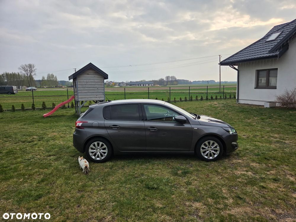 Peugeot 308 - 17