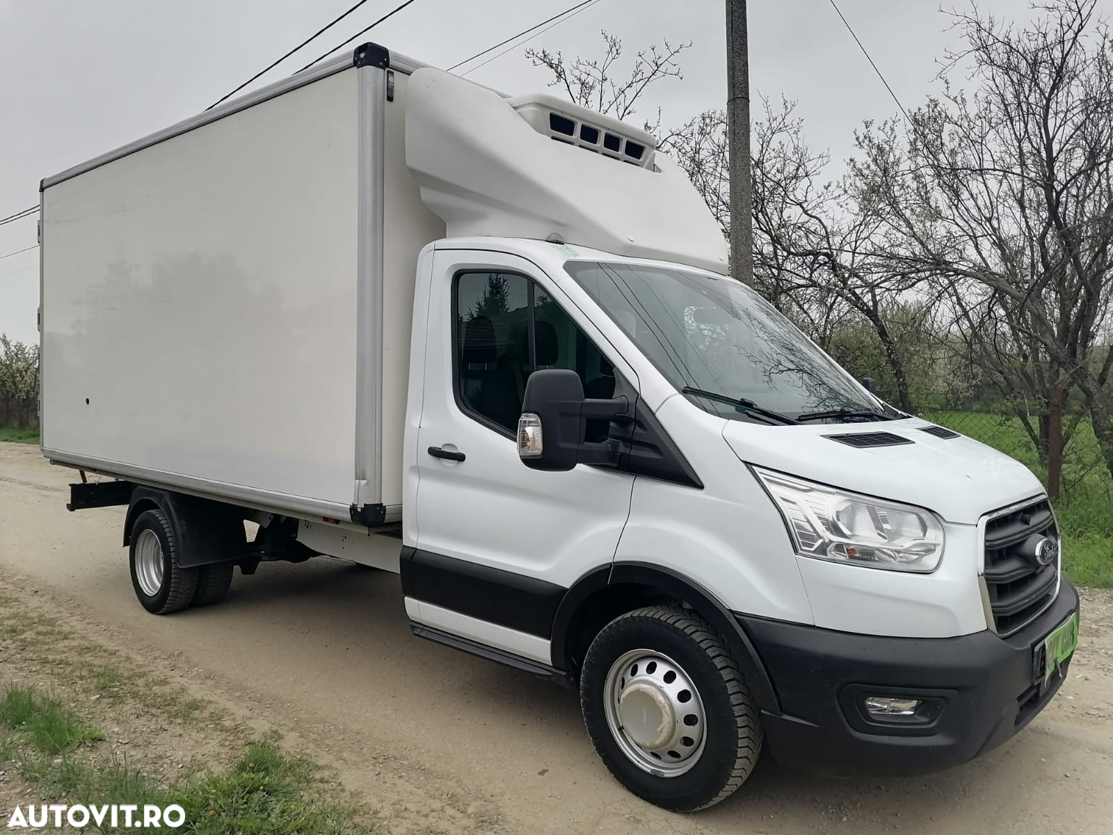 Ford Transit Frigorifica / Congelare / Punte dubla - 3