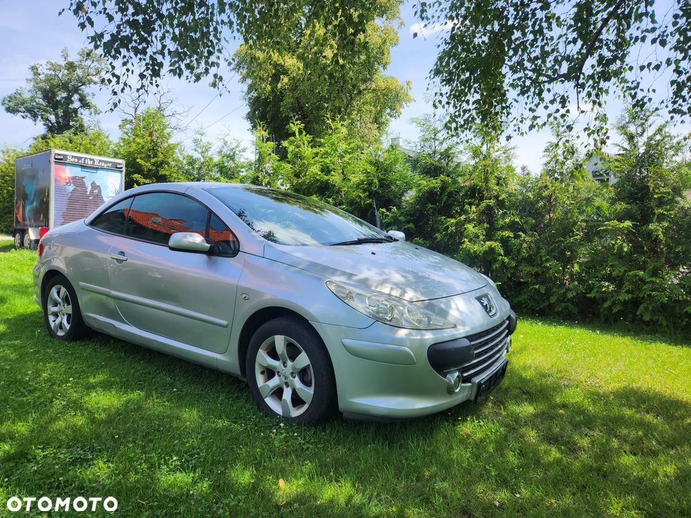 Peugeot 307 - 8