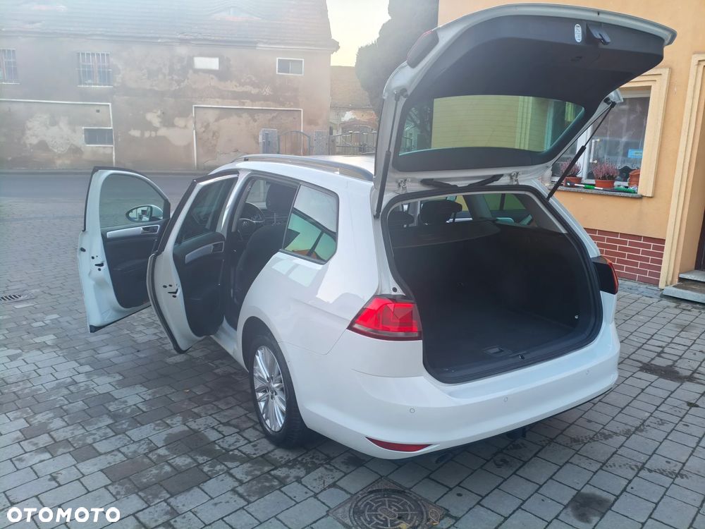 Volkswagen Golf 1.6 TDI BlueMotion Technology Cup - 13