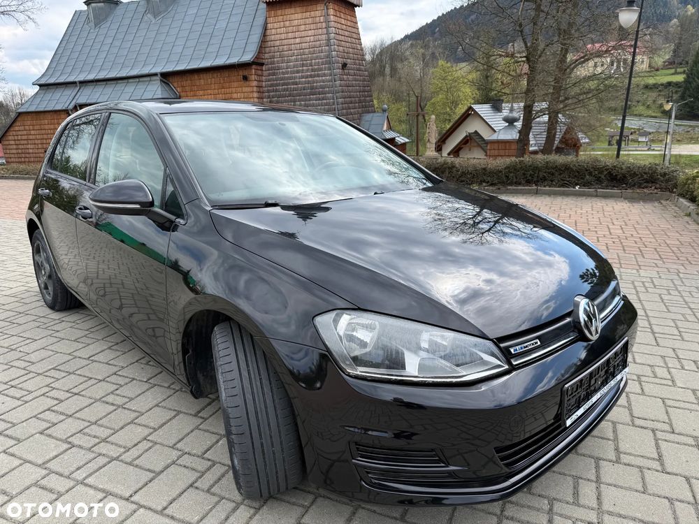 Volkswagen Golf 1.4 BlueMotion Allstar - 3