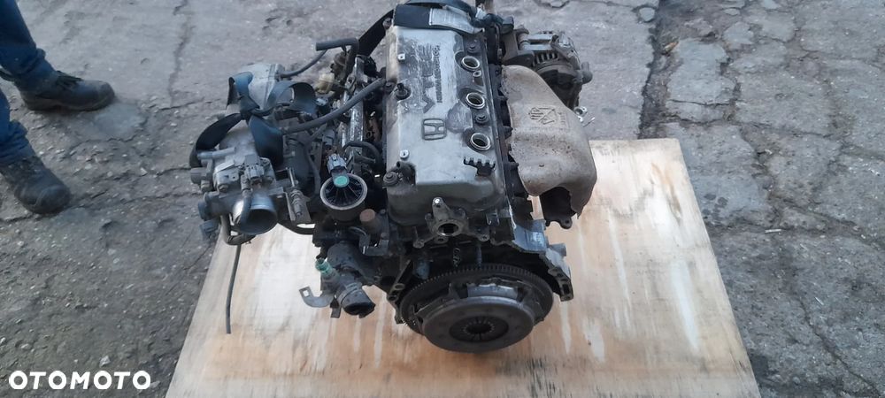 HONDA ACCORD VI  grill - 5