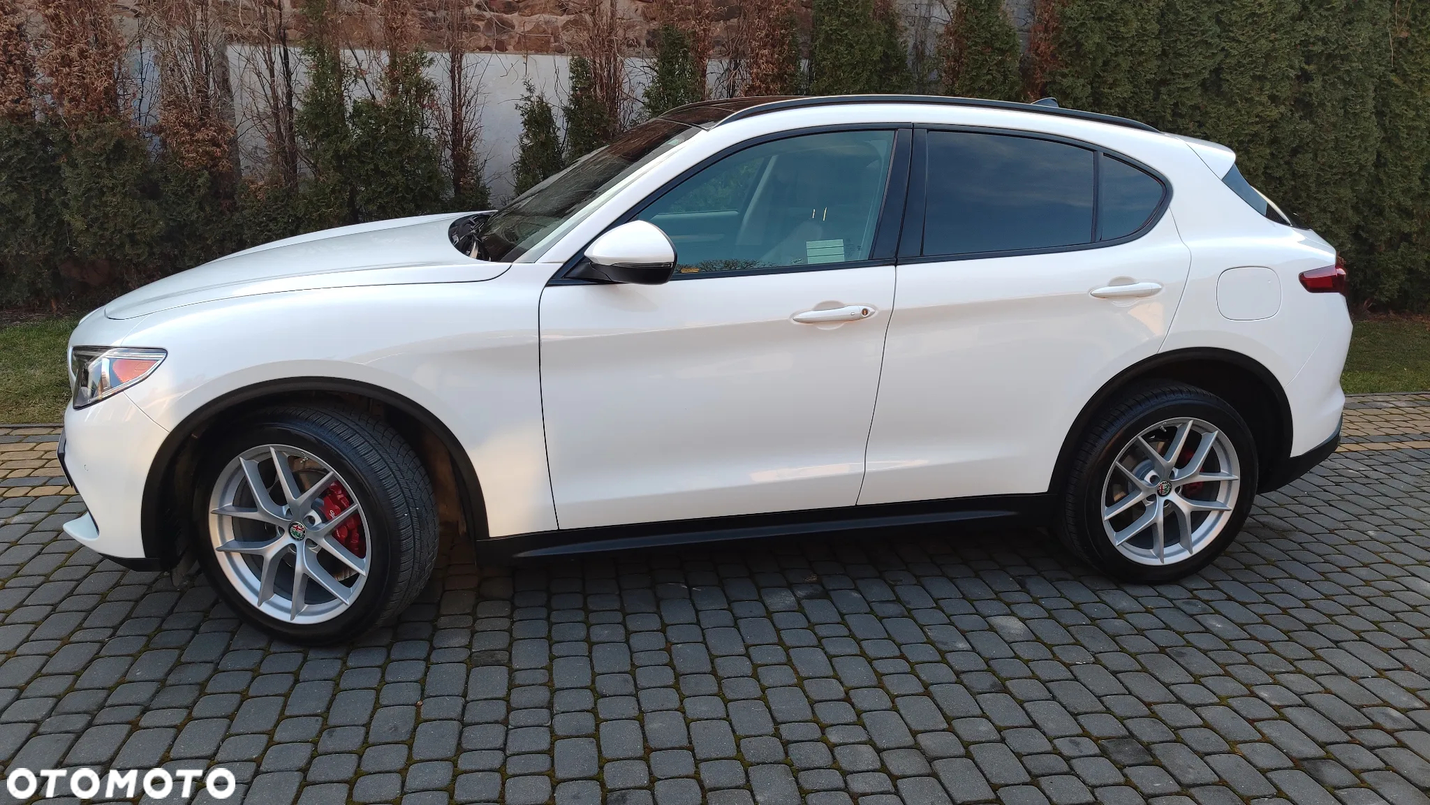 Alfa Romeo Stelvio 2.0 Turbo B-Tech Edition Q4 - 9