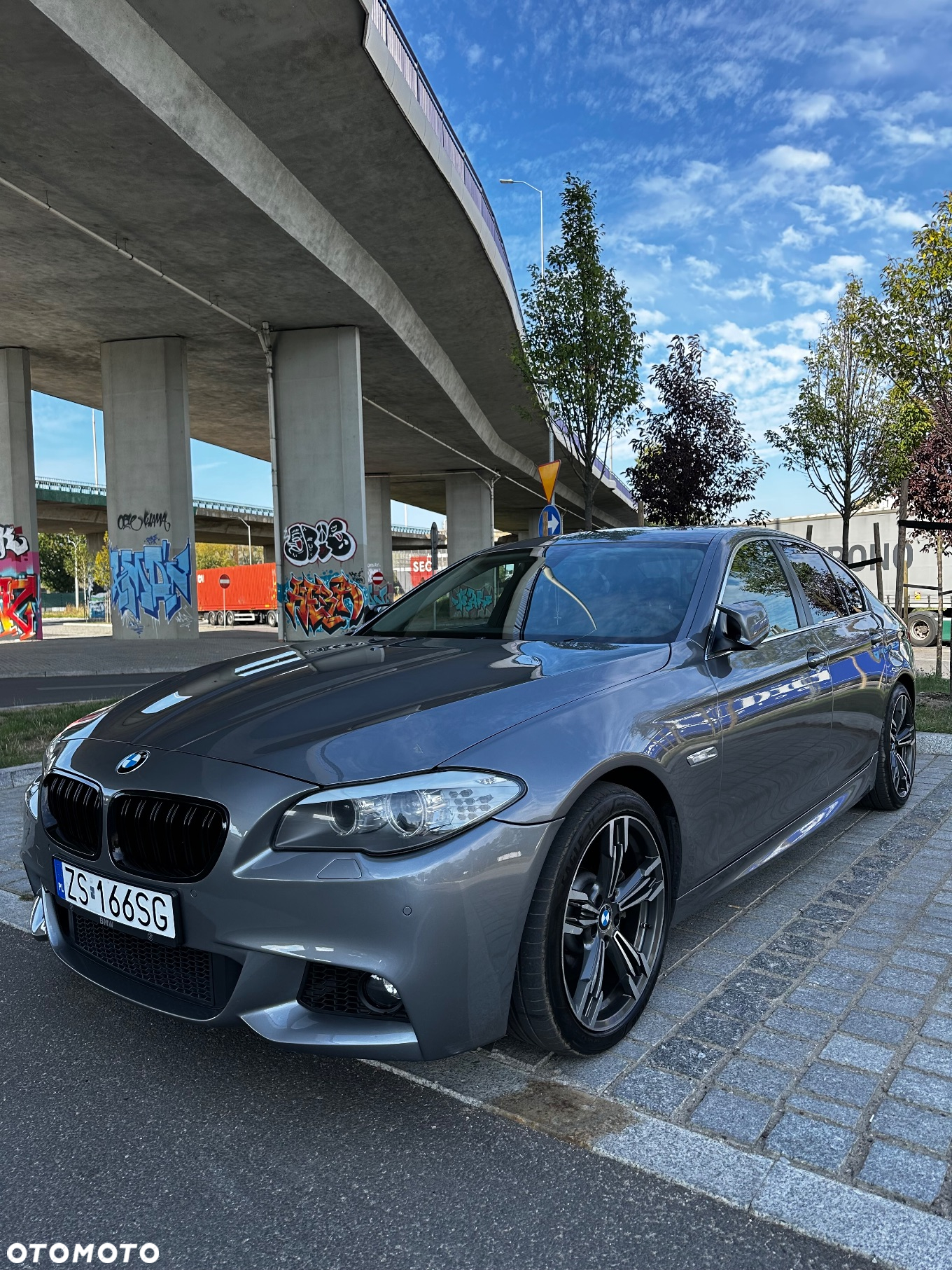 BMW Seria 5 530d xDrive - 7