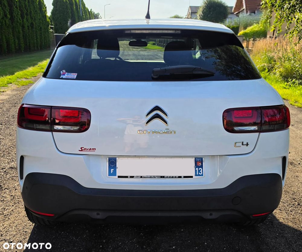 Citroën C4 Cactus PureTech 110 Stop&Start Origins - 12