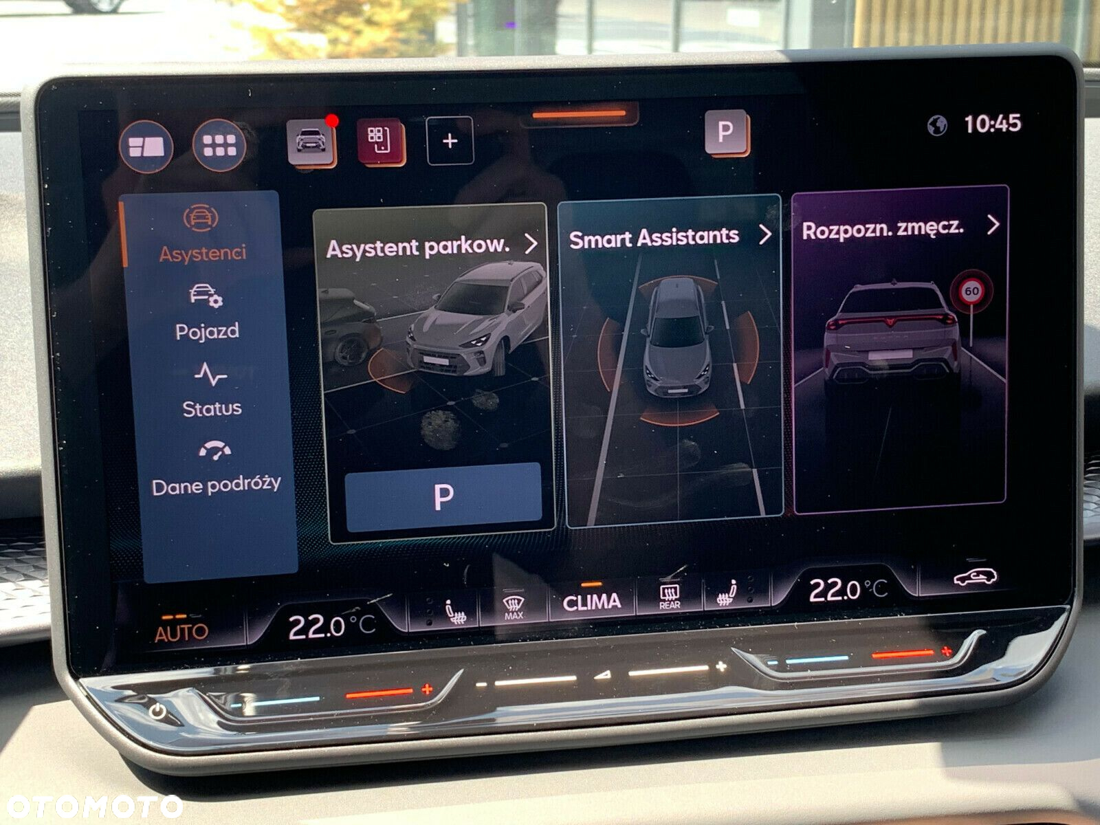 Cupra Terramar - 22