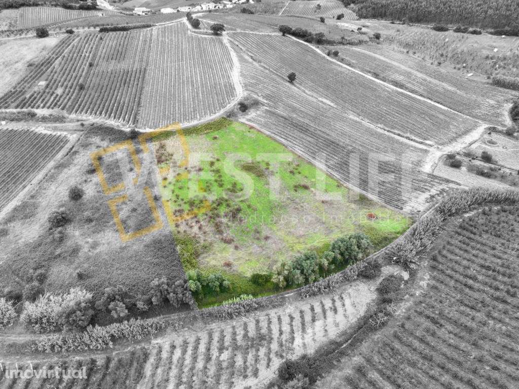 Terreno em Mafra - Terreno Agrícola de 7062m2 com Poço - Grande imagem: 2/19
