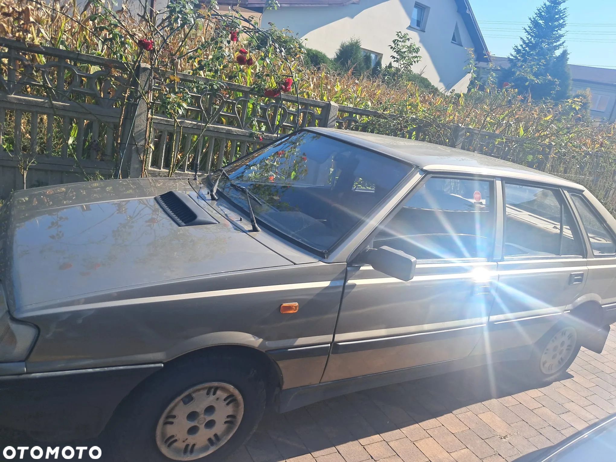 Polonez Caro - 1