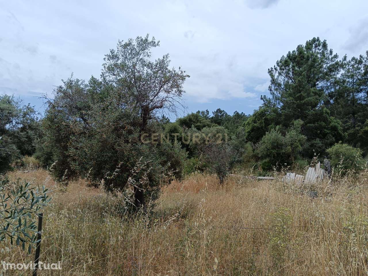 Terreno Rústico, 840m2, Palvarinho - Grande imagem: 4/7