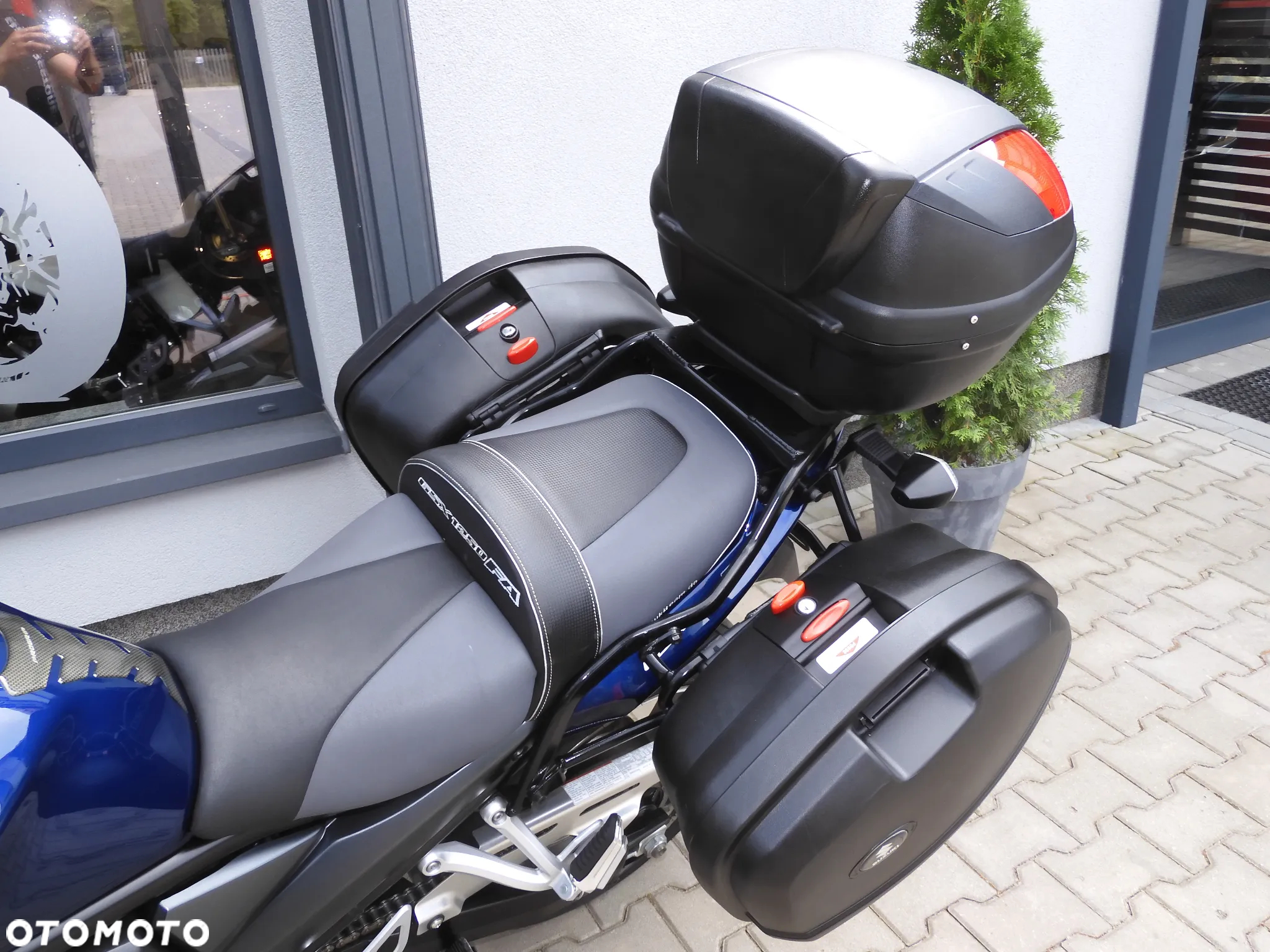 Suzuki GSX - 34