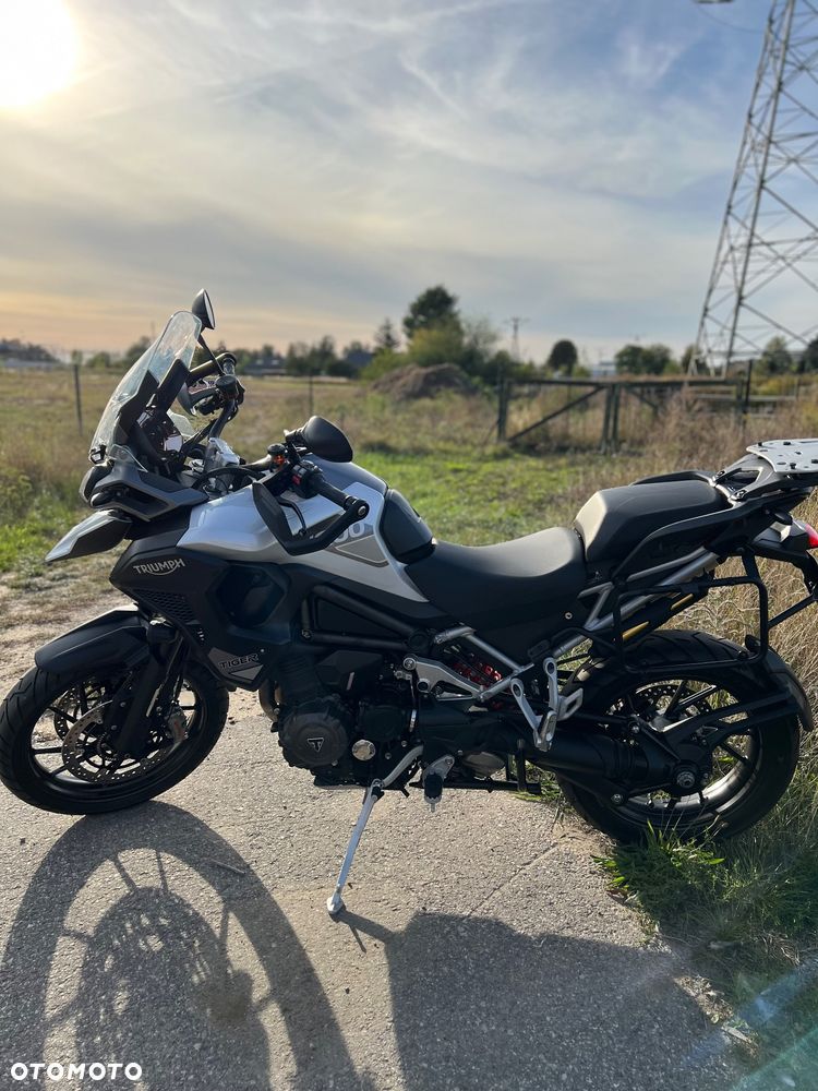Triumph Tiger - 16