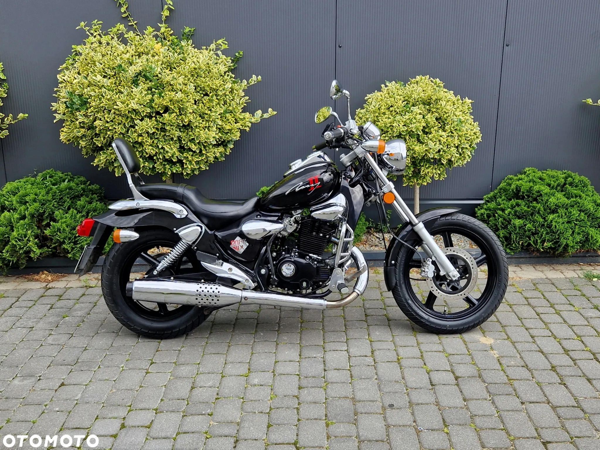 Kymco Zing - 4