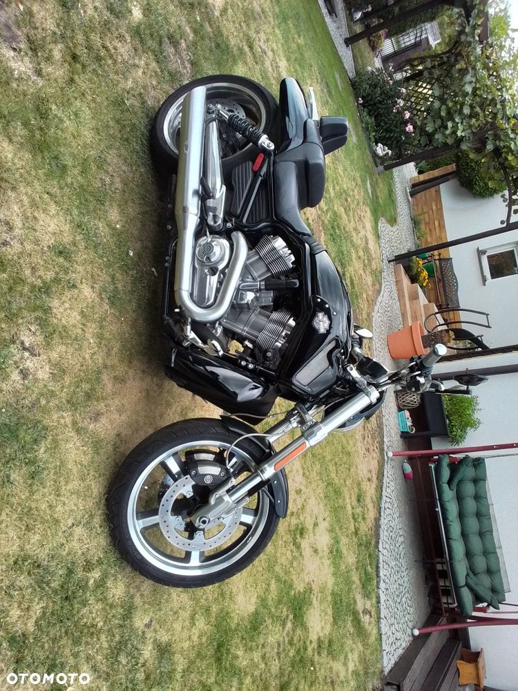 Harley-Davidson V-Rod Muscle - 7