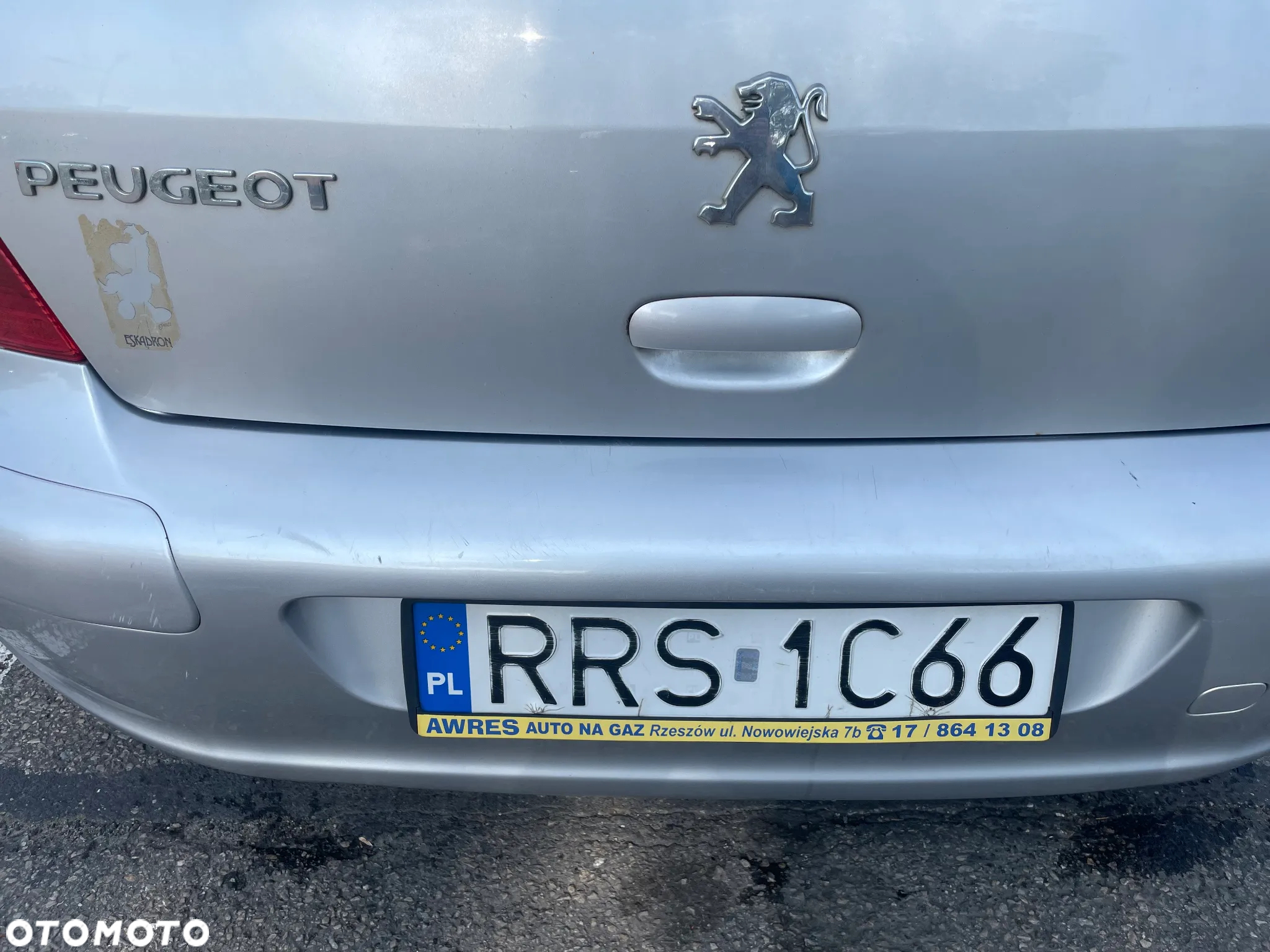Peugeot 307 - 17