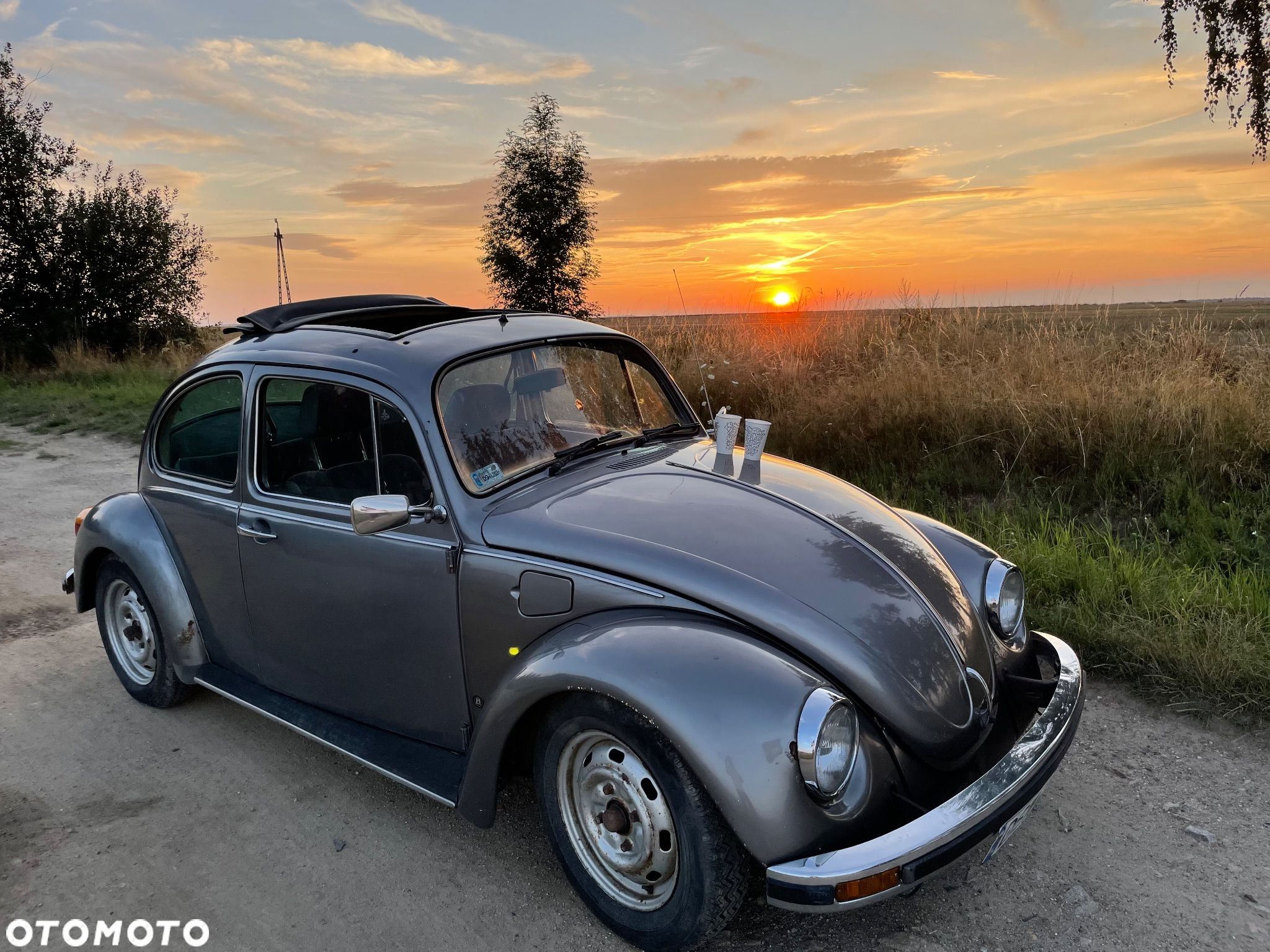 Volkswagen Garbus - 1