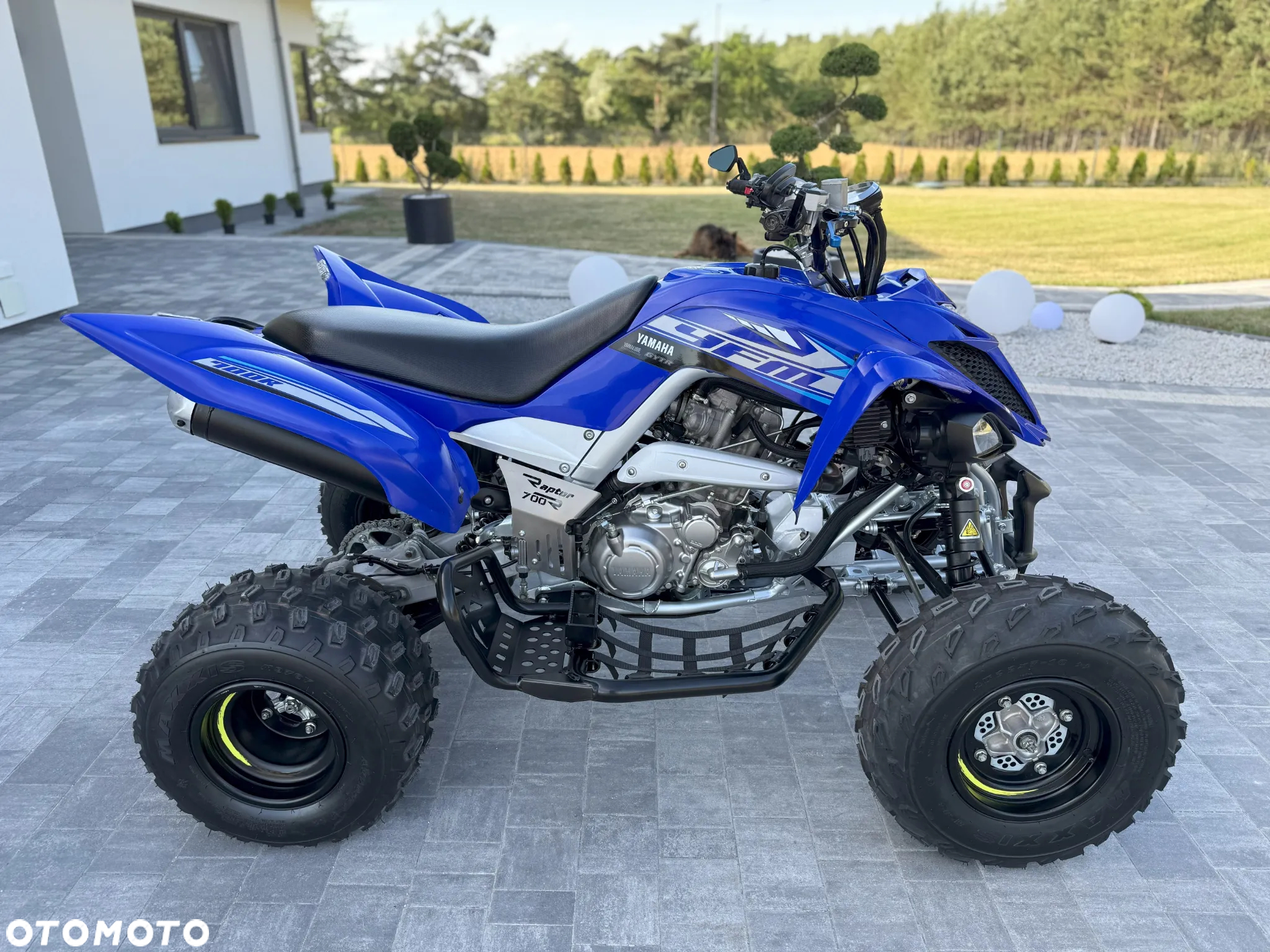 Yamaha Raptor - 27