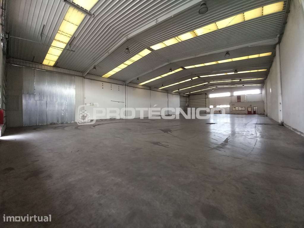 Armazém c/ 1000m2 - Z. I. Albergaria-a-Velha - Grande imagem: 2/10