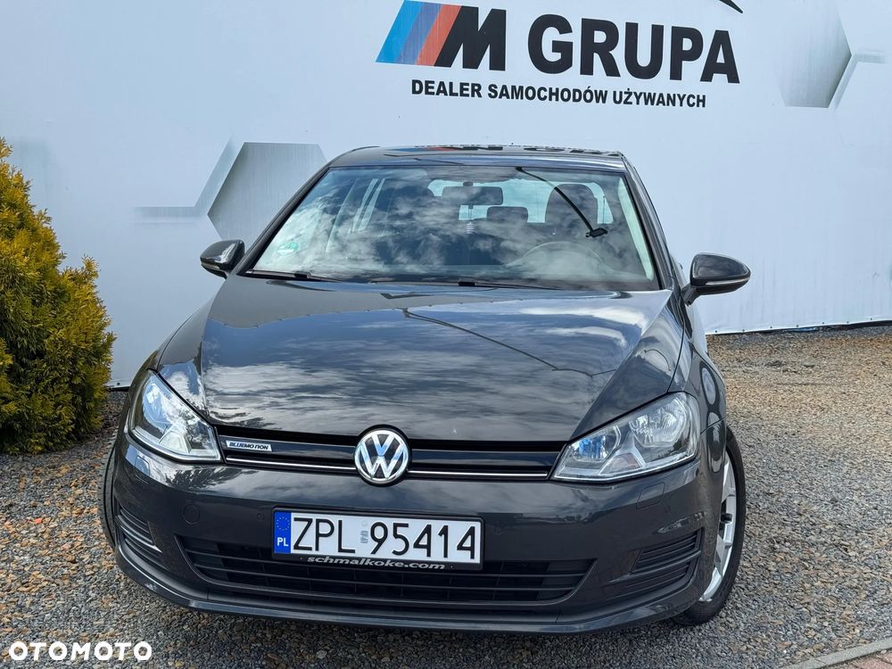 Volkswagen Golf 1.6 TDI 4Motion BlueMotion Technology Allstar - 7