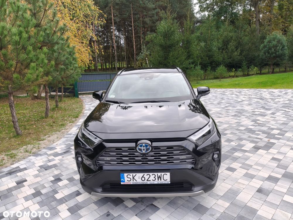 Toyota RAV4 2.5 Hybrid Executive 4x2 - 18