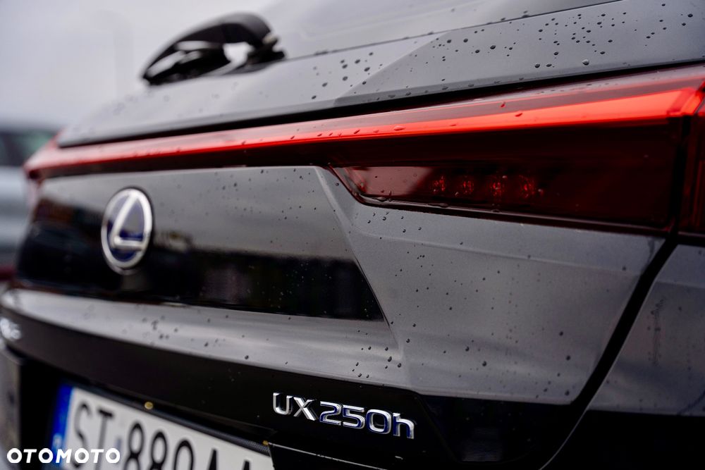 Lexus UX 200 GPF Business 2WD - 9