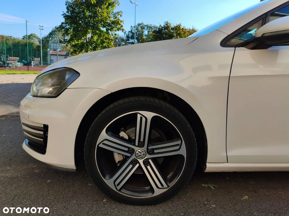 Volkswagen Golf 1.6 TDI BlueMotion Technology Cup - 27
