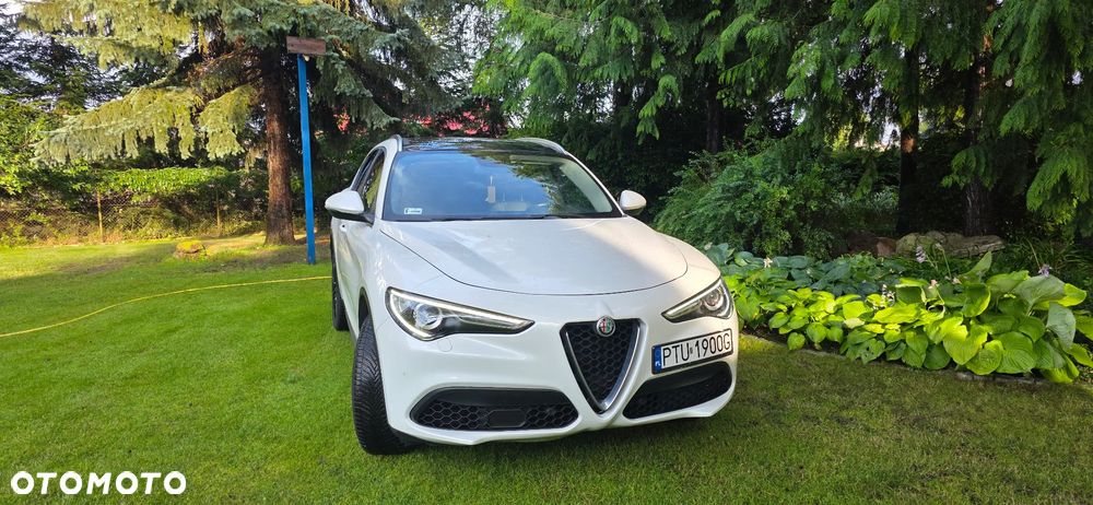 Alfa Romeo Stelvio 2.0 Turbo 16V AT8-Q4 Super - 1