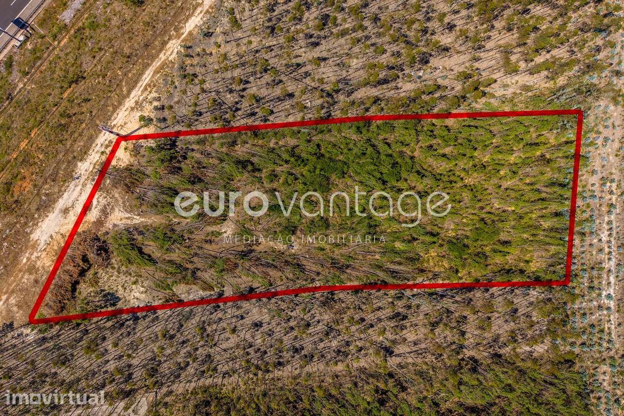Terreno Industrial c/ 8.846 m² | Maceira, Junto à A8 – pohled 4