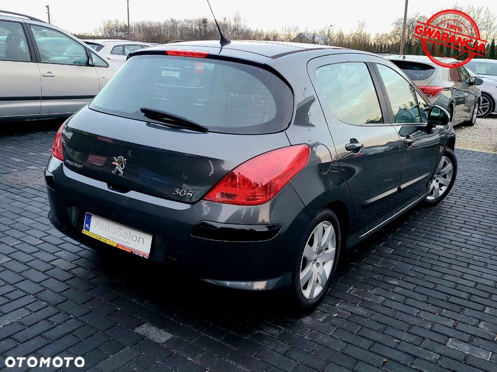 Peugeot 308 1.6 Premium - 10