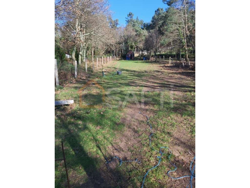 Excelente propriedade para a cultura de Vinho Alvarinho - Grande imagem: 2/9