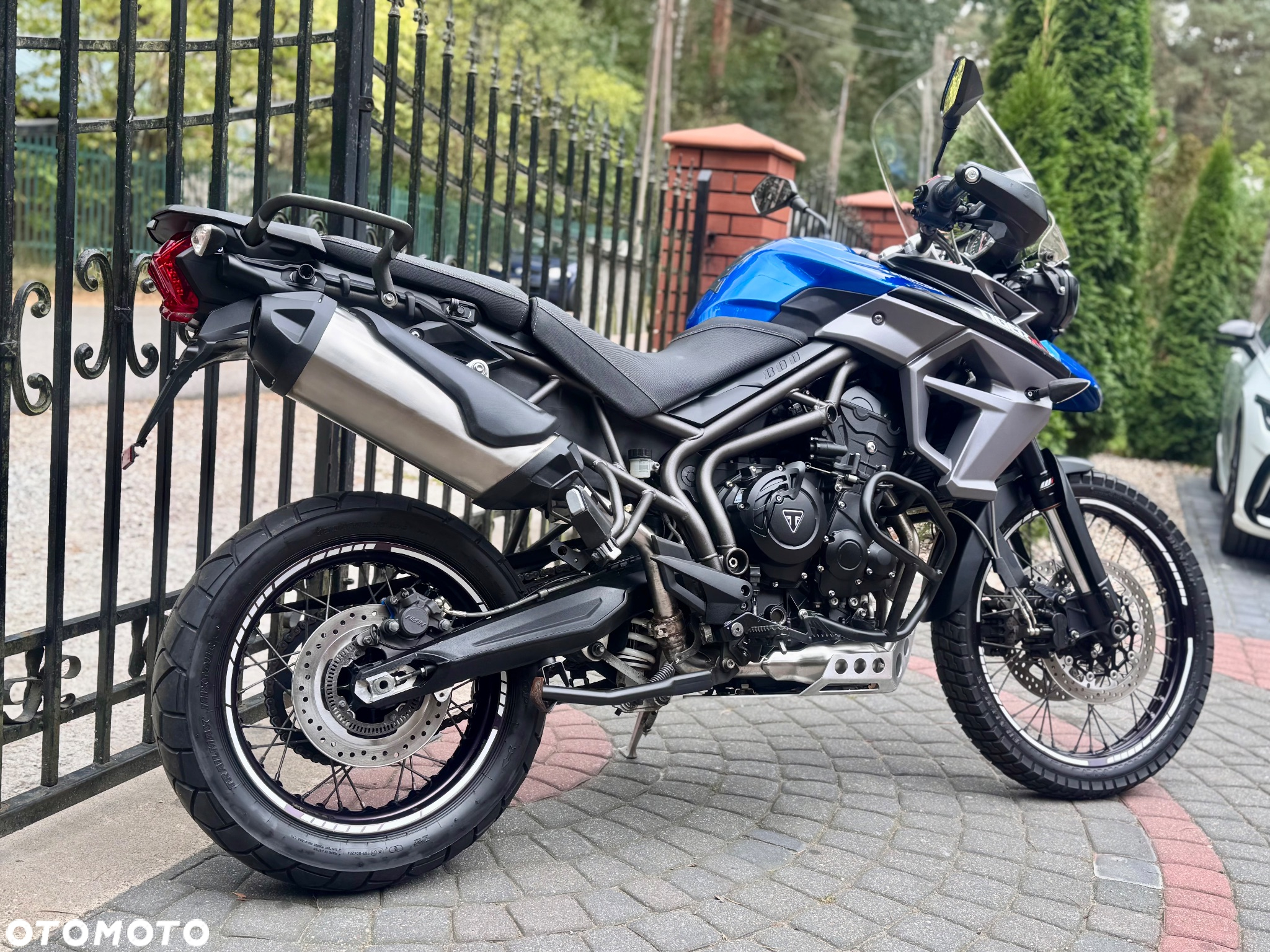 Triumph Tiger - 4