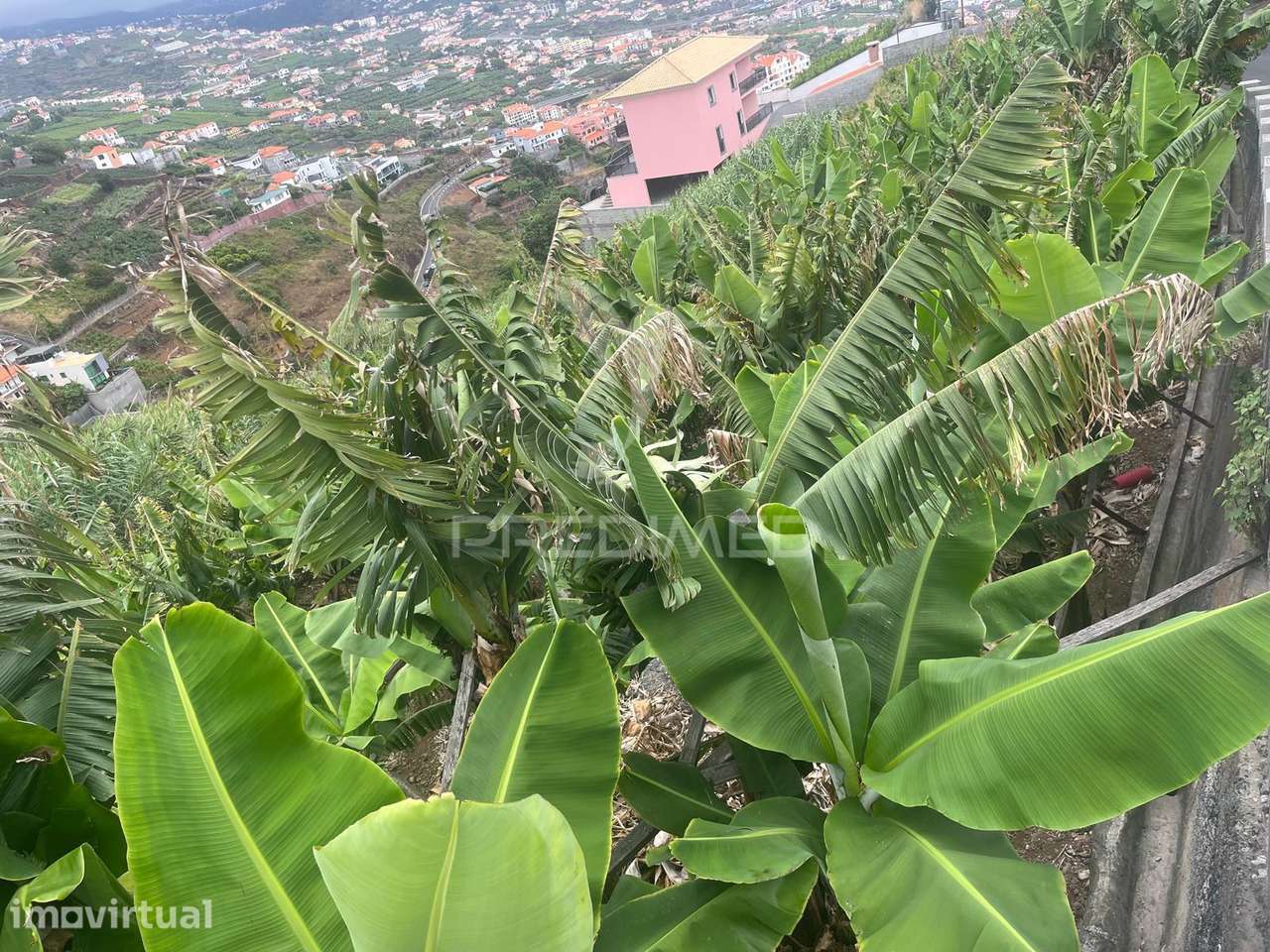 Terreno com 850m2 em Câmara de Lobos com vista Fabulosa - Grande imagem: 2/4