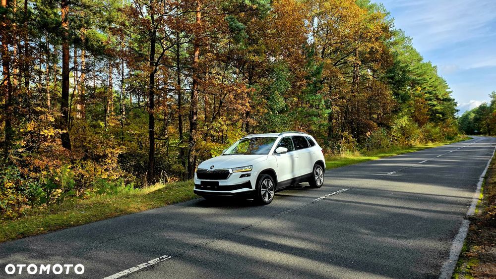 Skoda Karoq 2.0 TDI SCR 4x2 Sportline - 9