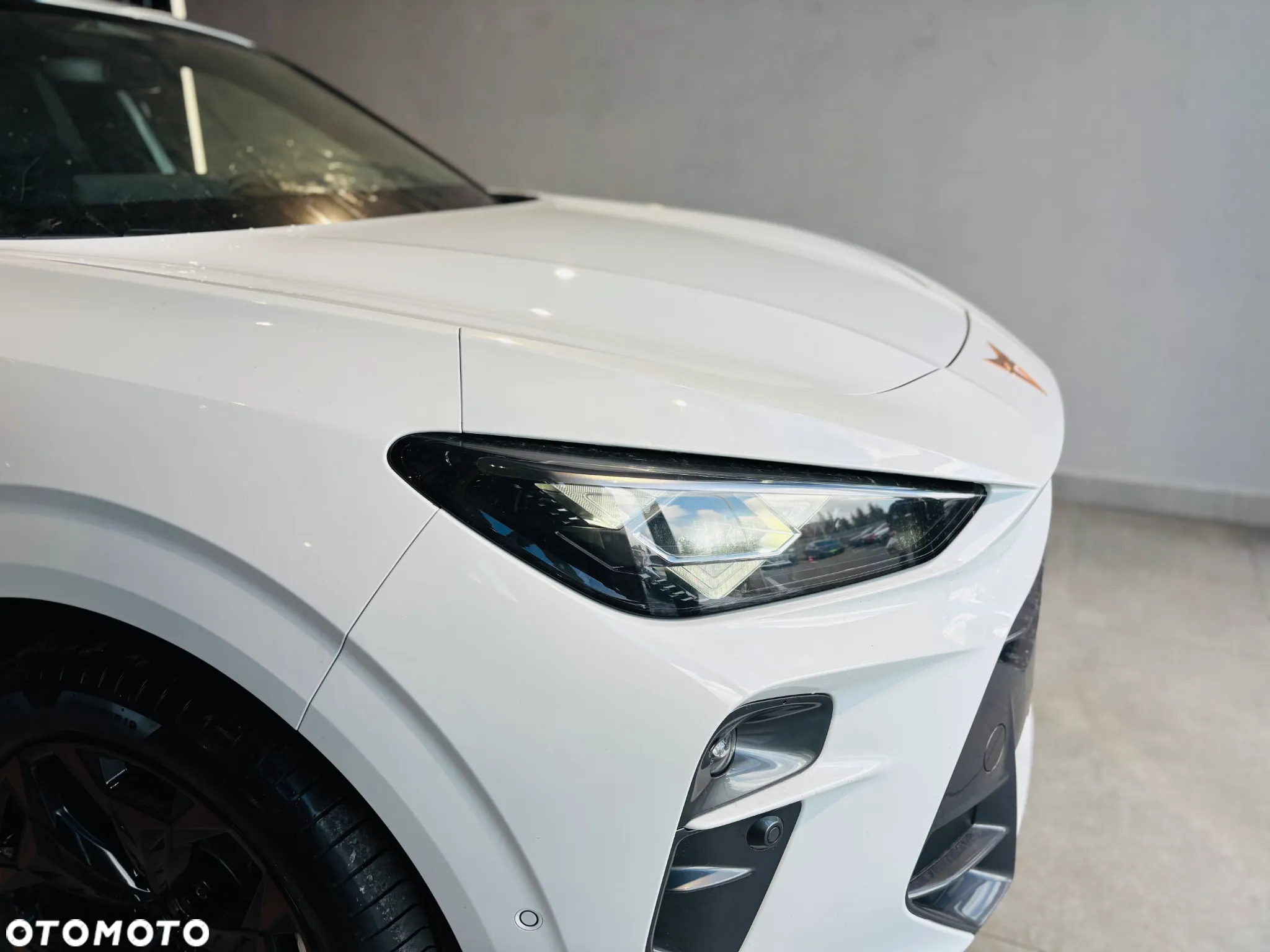 Cupra Terramar - 10