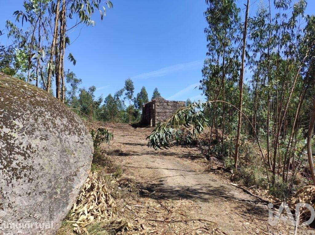 Quinta em Vila Boa de Quires e Maureles de 98,00 m2 - Grande imagem: 3/17