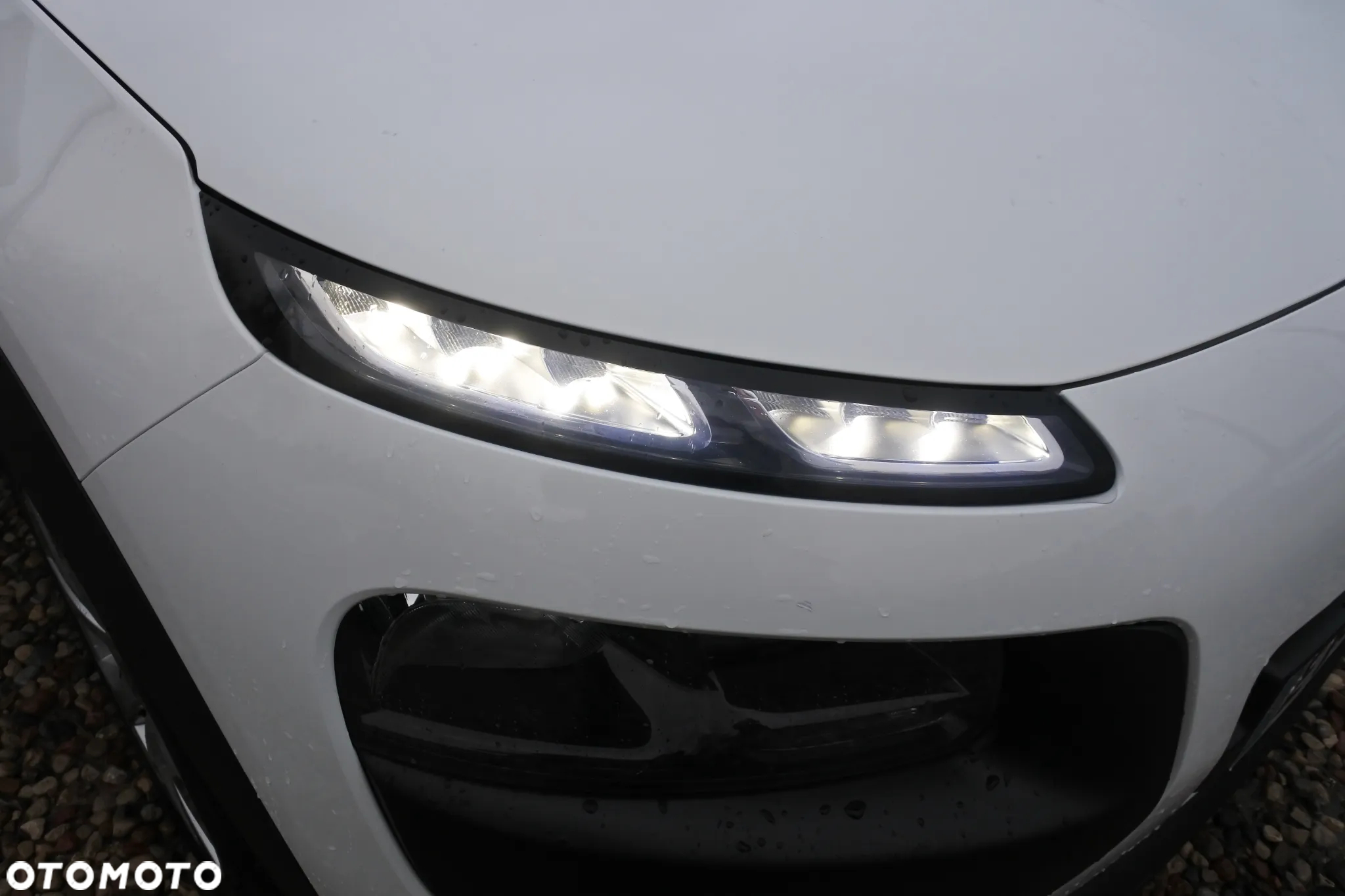 Citroën C4 Cactus PureTech 110 Stop&Start Origins - 20