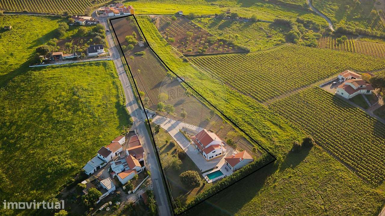 Quinta T5 para venda - Grande imagem: 4/31