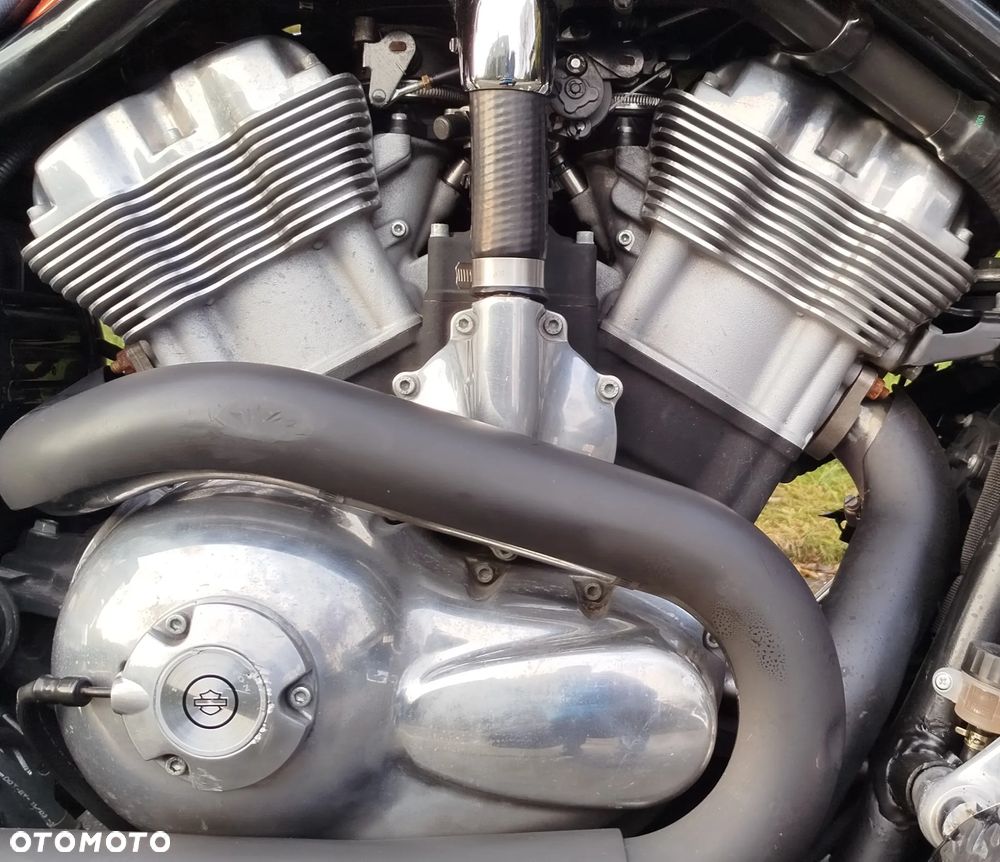 Harley-Davidson Softail V-Rod - 3