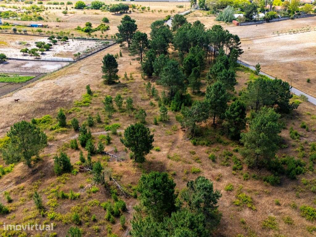 Terreno no Poceirão para investimento - Grande imagem: 2/10