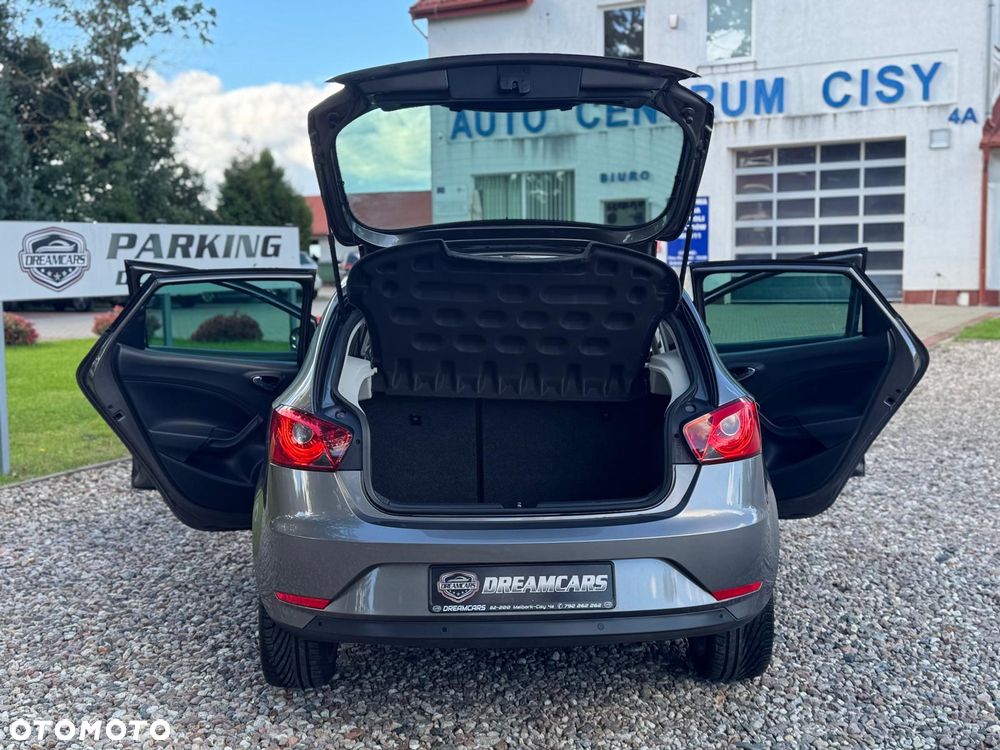 Seat Ibiza - 17