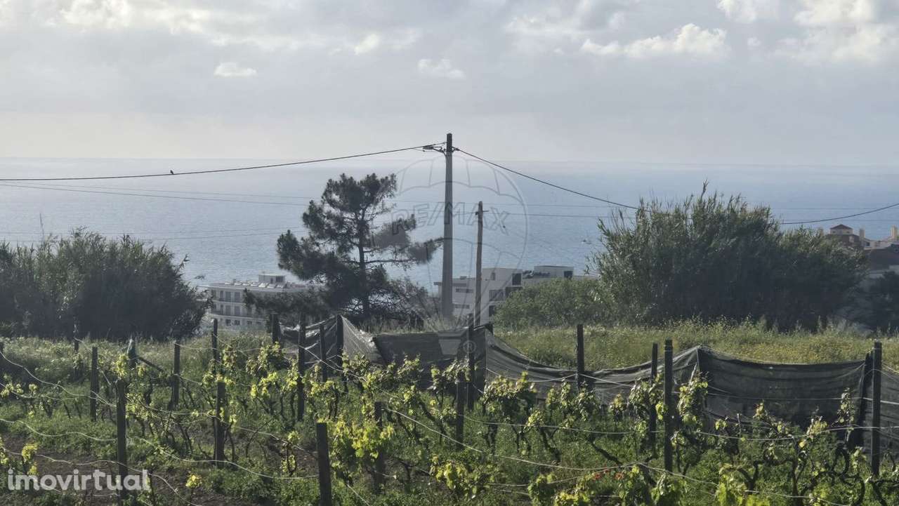 Terreno  para venda - Grande imagem: 4/4