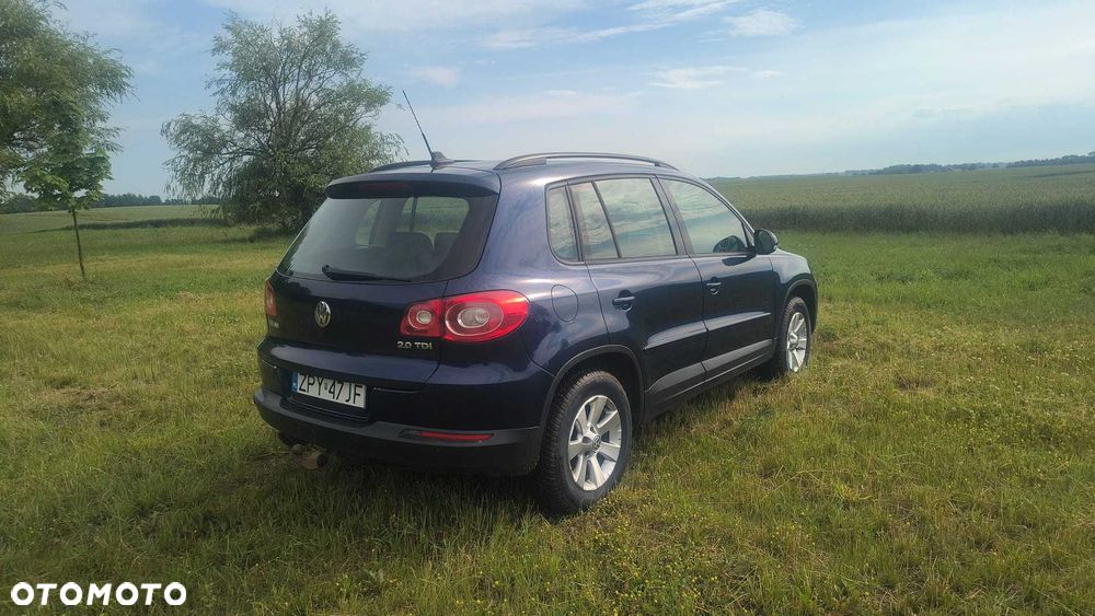 Volkswagen Tiguan - 1