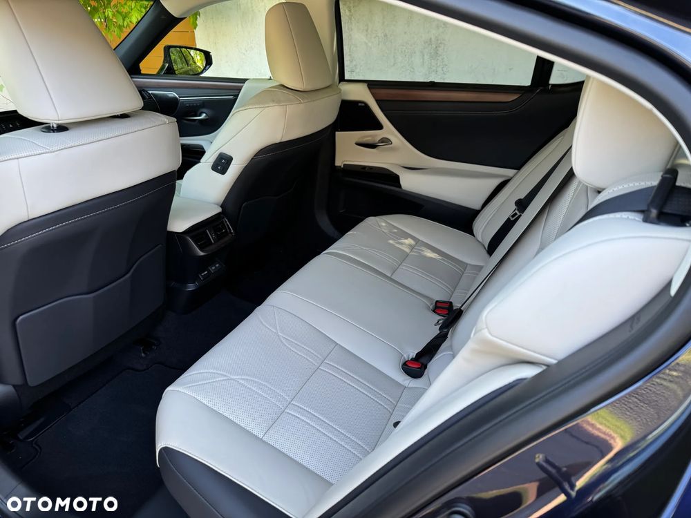Lexus ES 300h Omotenashi - 6