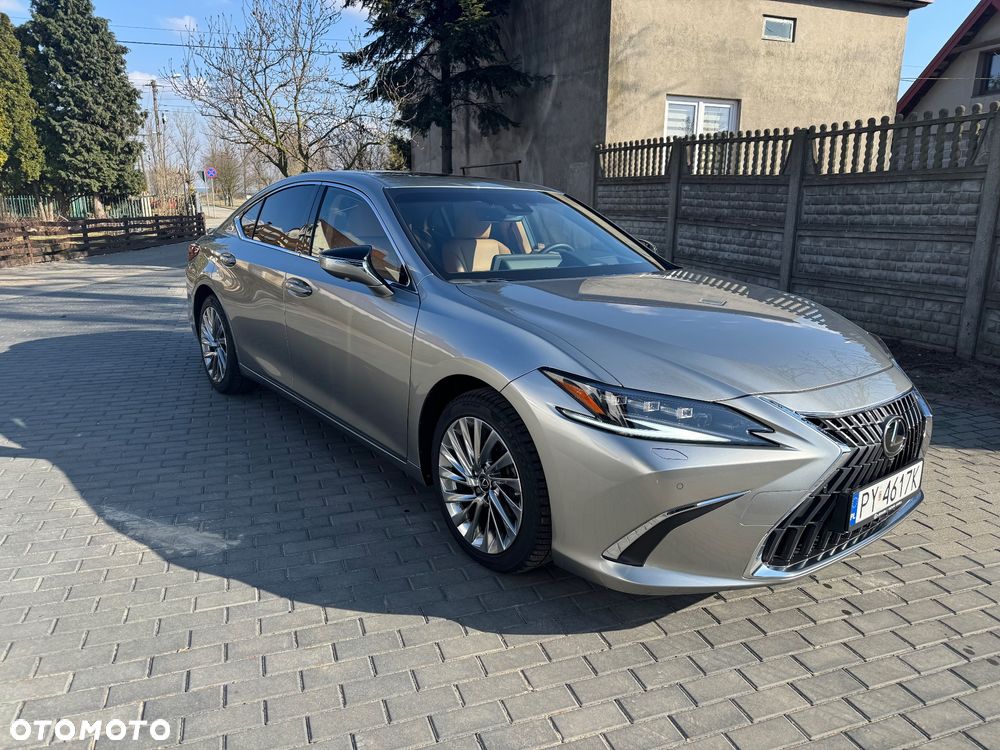 Lexus ES 300h Omotenashi - 4
