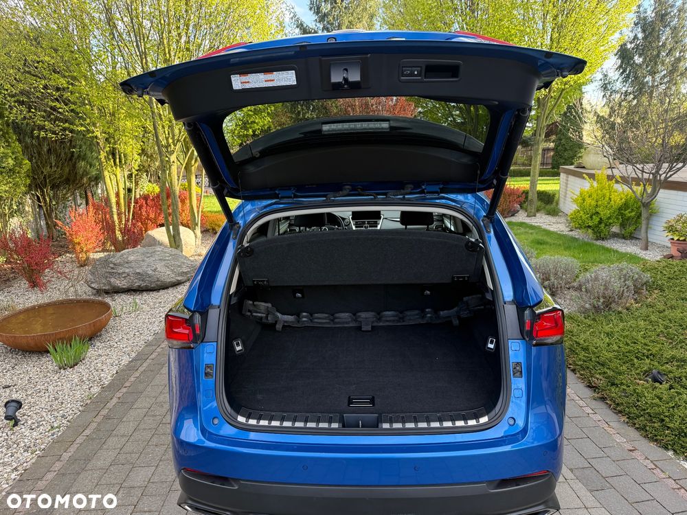 Lexus NX 300 F Impression AWD - 26