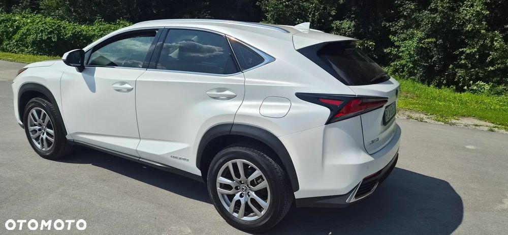 Lexus NX 300h Business Edition AWD - 5