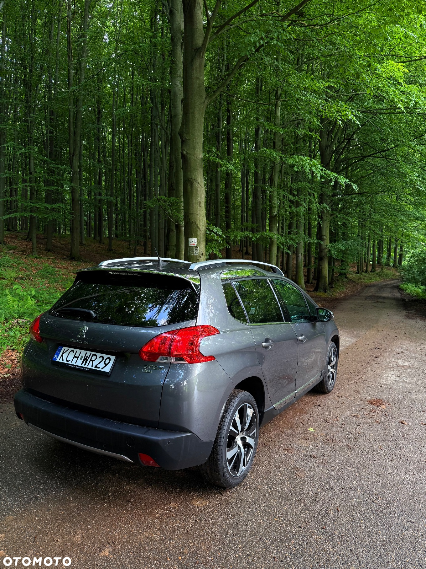 Peugeot 2008 1.2 PureTech Active Pack S&S - 7